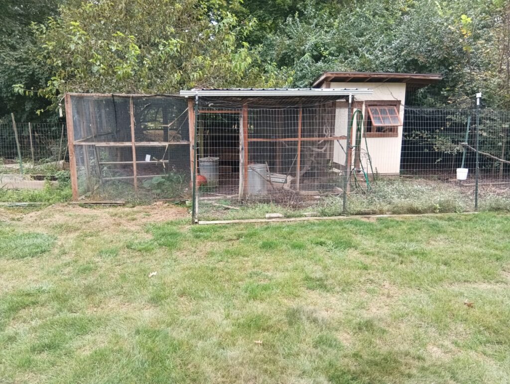 junk be gone shed removal in central nj