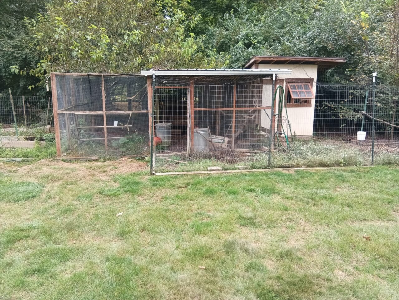 Shed Removal - Junk be gone